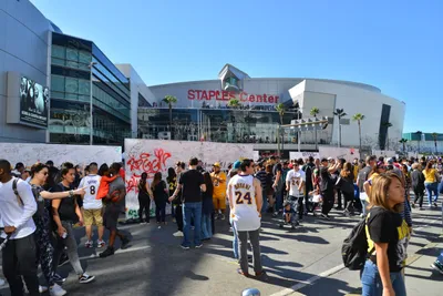 DSC_7110 (Large).JPG